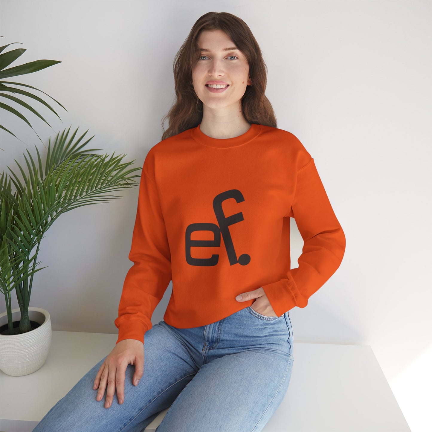 ef sweatshirt